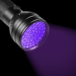 UV Flashlights